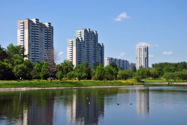 Residential homes on the shore of the pond clipart