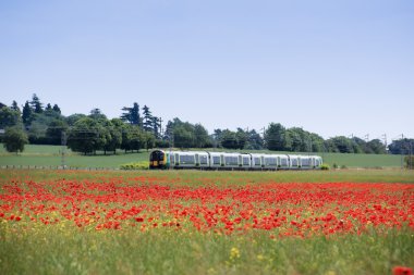 Commuter train hertfordshire poppy field clipart