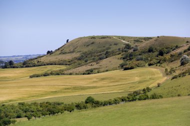 Ivinghoe beacon hertfordshire countryside england clipart