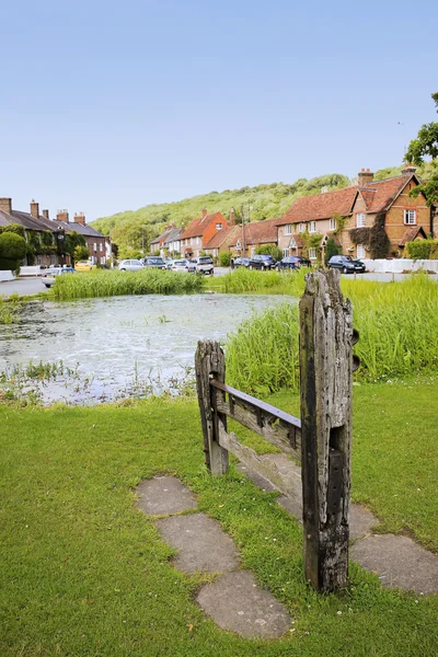 Aldbury village green stocks and pond — Stock Photo, Image
