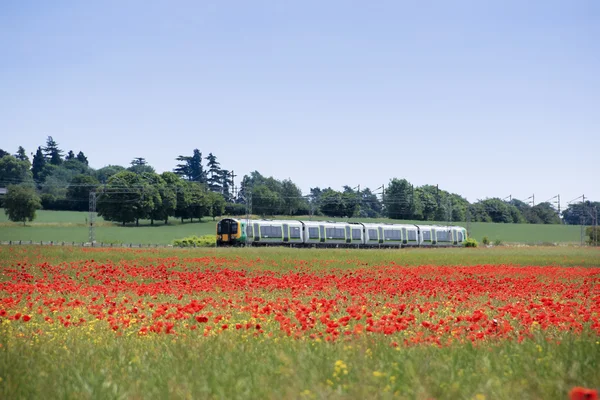 Treno pendolare hertfordshire campo di papavero — Foto Stock