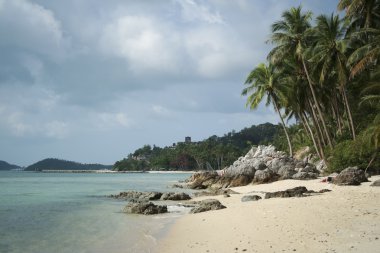 Palm tree beach koh samui thailand clipart