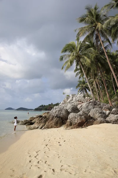 Koh samui playa cielo nublado tailandia —  Fotos de Stock