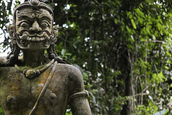 Таємний сад Будди Код Самуї — стокове фото