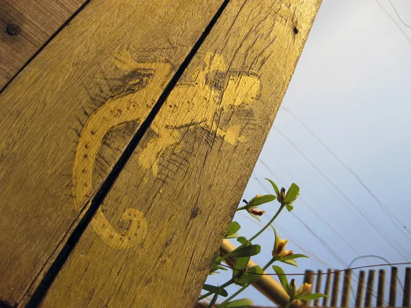 Gecko lagarto pintura placas de madeira — Fotografia de Stock