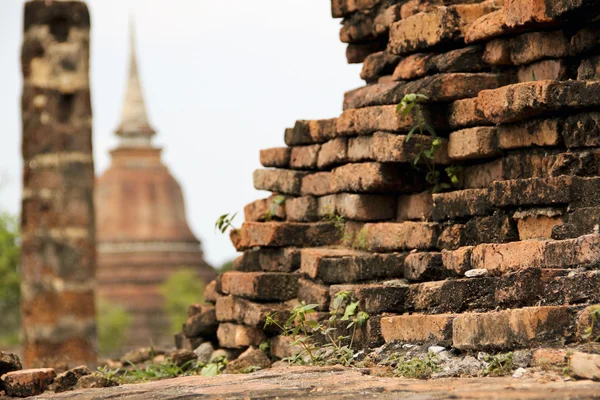 Zarośnięte stare cegły ściany sukhothai — Zdjęcie stockowe