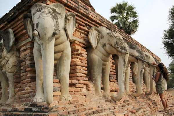Sloní hlava chrám sukhothai, Thajsko — Stock fotografie