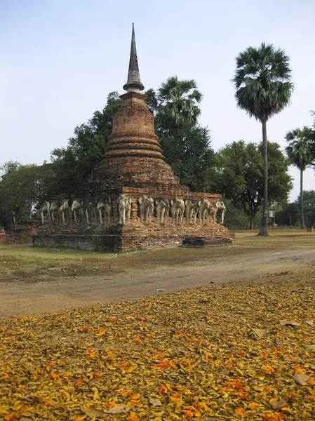 Słoń głowy Tajlandii świątyni sukhothai — Zdjęcie stockowe