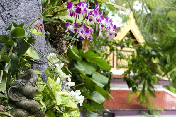 Temple gardens wat saket bangkok — Stock Photo, Image