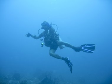 Scuba diver underwater sabang philippines clipart