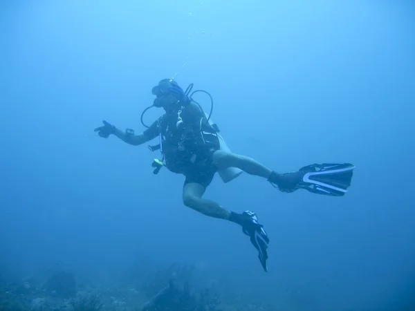 Scuba diver underwater sabang philippines — Stock Photo, Image