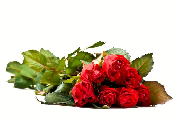 Червоні троянди букет — стокове фото