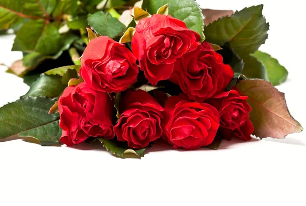 Červená růže kytice — Stock fotografie