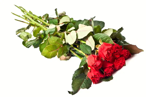 Червоні троянди букет — стокове фото