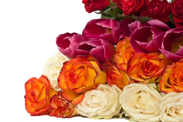 Троянди і тюльпанів — стокове фото