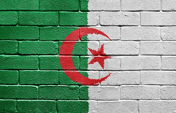 砖墙上的阿尔及利亚国旗 — 图库照片
