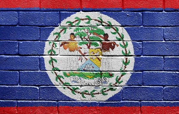 Bandeira de Belize na parede de tijolo — Fotografia de Stock