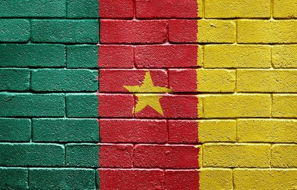 砖墙上的喀麦隆国旗 — 图库照片