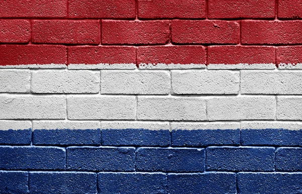 Flag of Netherlands on brick wall — Stock Photo, Image