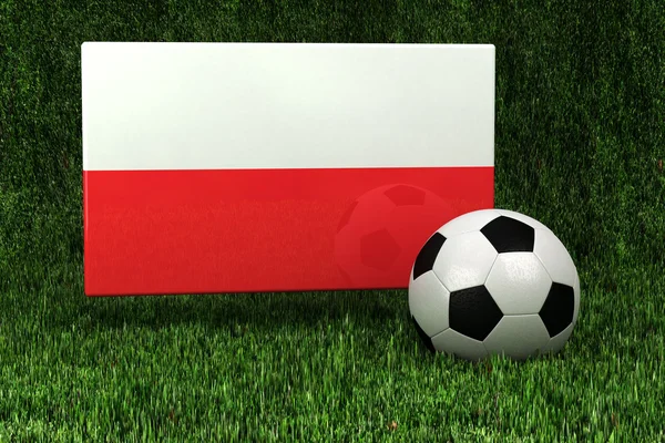 Polónia Futebol — Fotografia de Stock