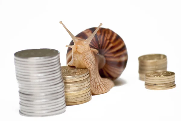 stock image Snail crawling along the stairs