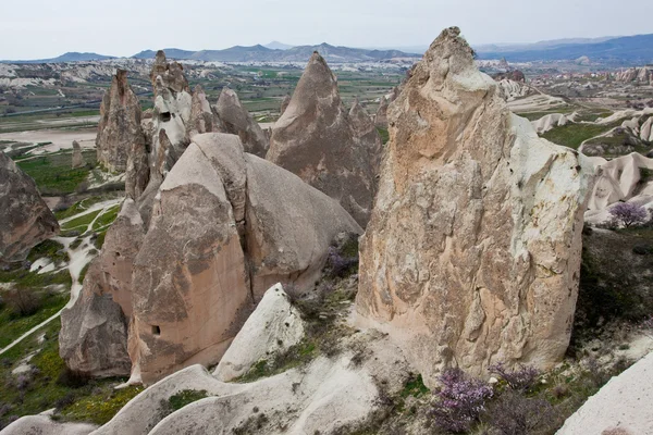 Cappadocia valley. — Stock Photo, Image