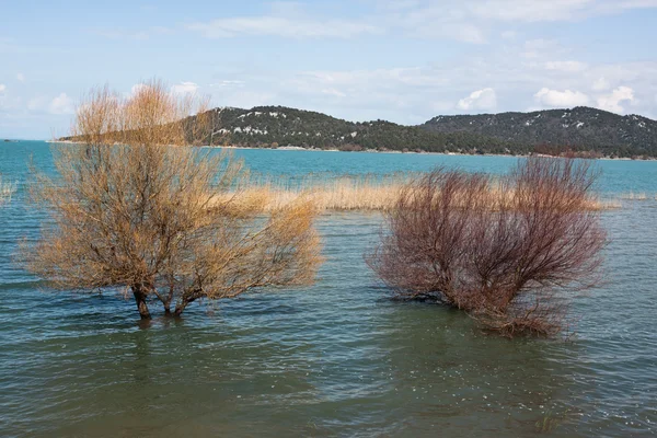 湖景观与树. — 图库照片