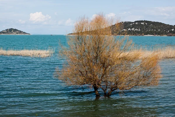 湖风景与树. — 图库照片