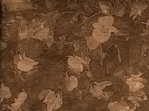 Altmodischer floraler Hintergrund — Stockfoto