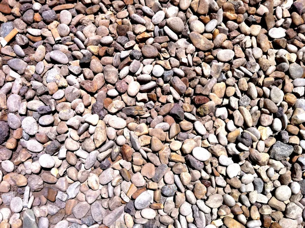 Pebbles Background — Stock Photo, Image