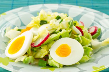 Spring salad of cabbage and radishes clipart