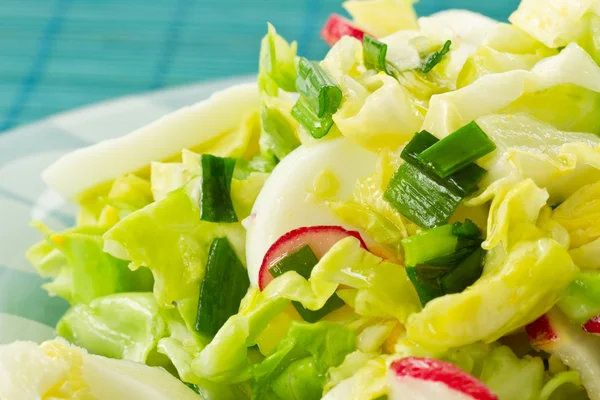 Salade de printemps de chou et radis — Photo