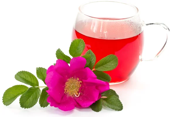 Цветок дикой розы и чай — стоковое фото
