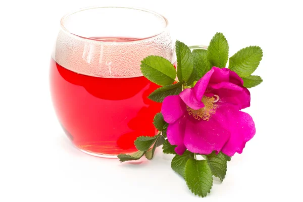 Flor de rosa selvagem e chá — Fotografia de Stock