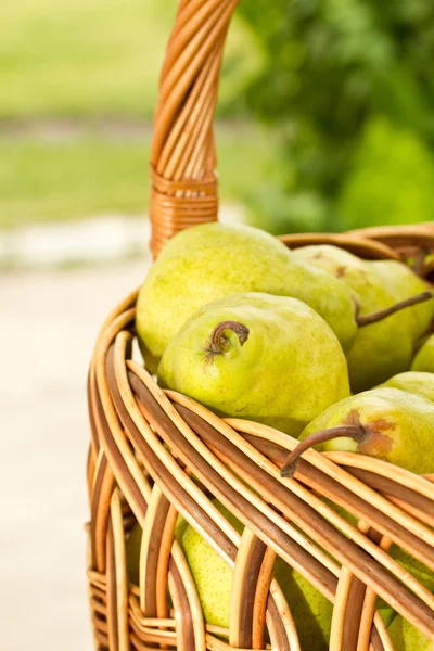 Peras en la cesta — Foto de Stock