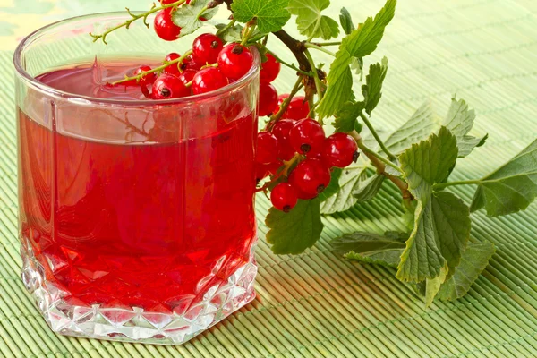 Compote of red currants — Stock Photo, Image