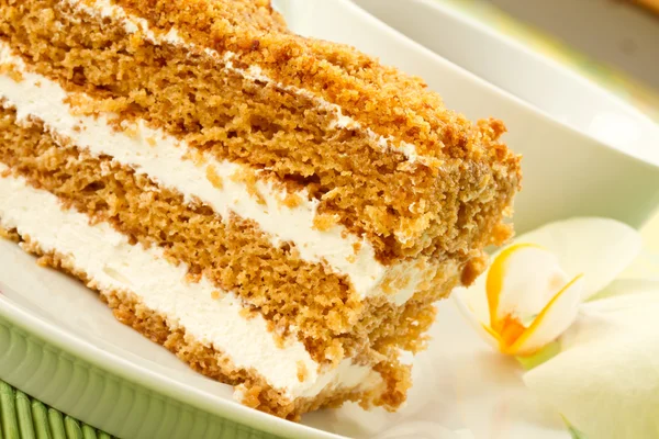 Ciasto ciasto miód — Zdjęcie stockowe