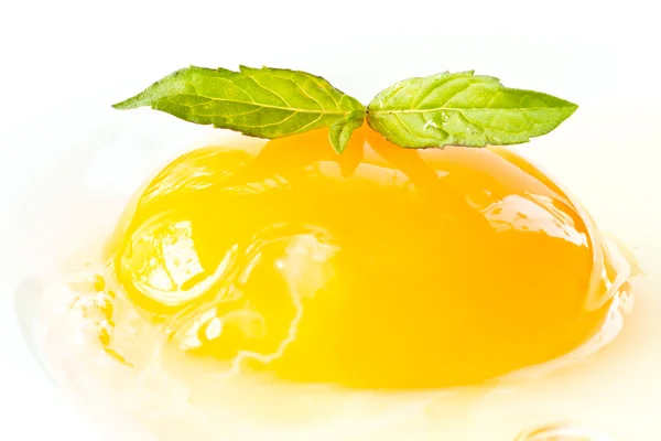 Egg yolk — Stock Photo, Image