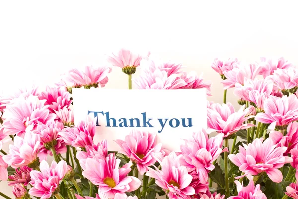 "thank you" — Stock Photo, Image