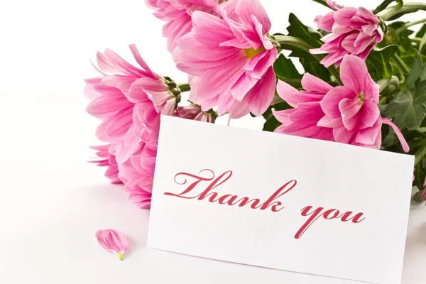 "thank you" — Stock Photo, Image