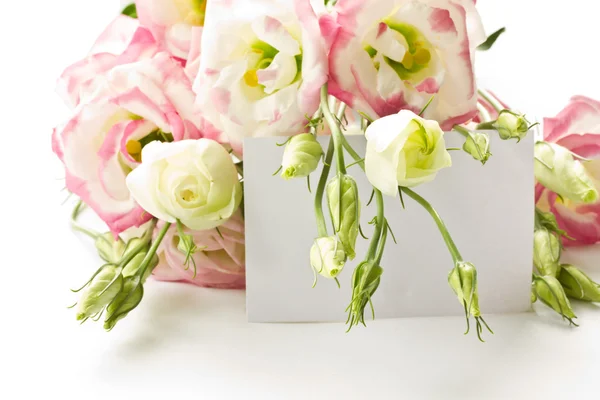 Een ruiker van mooie bloemen — Stockfoto