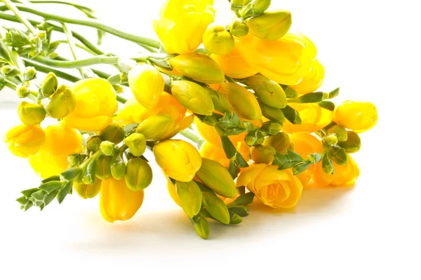 Μπουκέτο με κίτρινα λουλούδια — Φωτογραφία Αρχείου