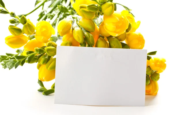 Bouquet of yellow flowers — Stock Photo, Image