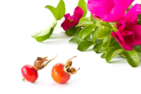 과일과 꽃 엉덩이 — 스톡 사진