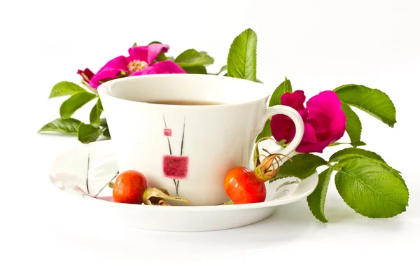 Herbata z dzikiej róży — Zdjęcie stockowe