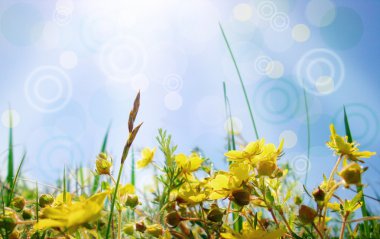 Spring Landscape clipart