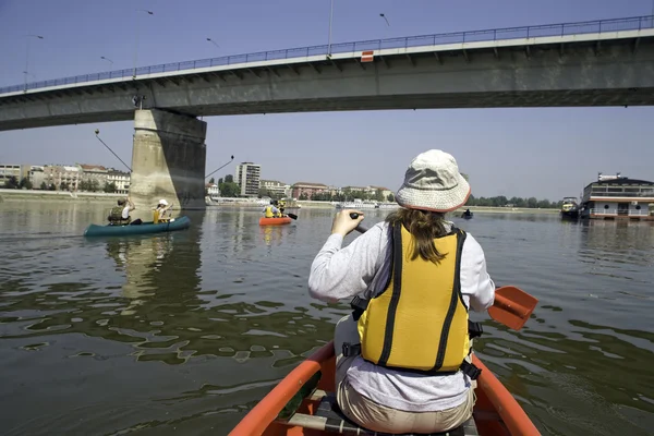 皮划艇比赛在多瑙河 — 图库照片