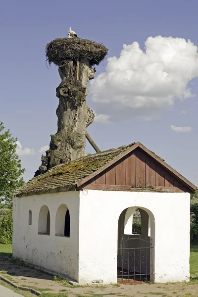教会の屋根でコウノトリ — ストック写真