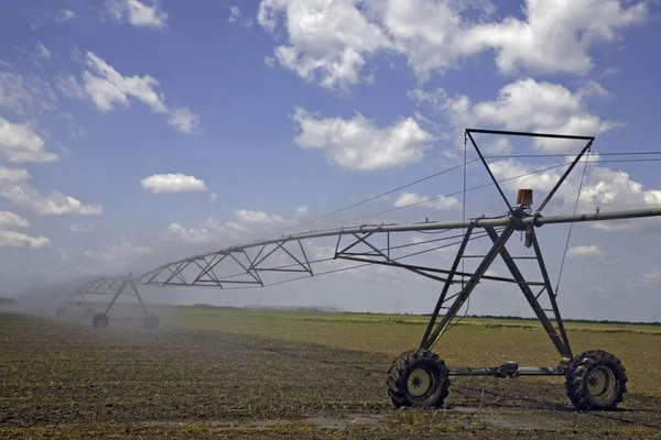 Field irrigation — Stock Photo, Image