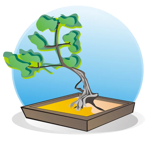 Bonsai tree on the green bacground, vector image — Stock Vector